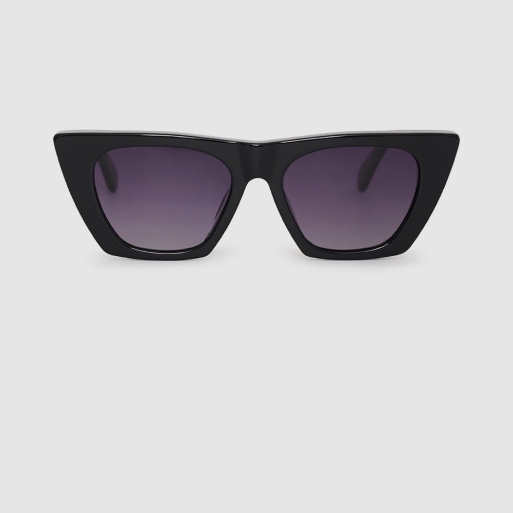 Anine bing Paris sunglasses